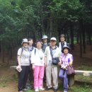 크린데이 이미지