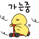 연참치 이미지