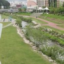 좌광천산책로2 이미지