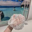 버블팝(당산점) | 화이트태닝 효과는? 몰디브태닝 당산점 후기 | 화이트태닝 브라운태닝 식스썬