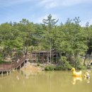 부산환경，부산방역공사