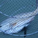 k1한국바다낚시터 이미지