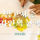 밤고지협동조합