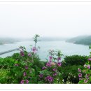 별 정원 이미지