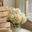 공장장 | 꽃처럼 피어난 순간들, 부케 기프트 &amp; 공장장 근황 이야기 / 광주 부케말리기 선물