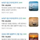 돌고래약국 | [제주도] 제주도 돌고래 요트 투어 “M1971요트투어” 이번에는 진짜 돌고래 보러가기 내돈내산 후기!!!