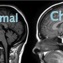 손철호재활의학과의원 이미지