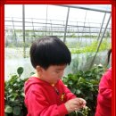 효동농장 이미지