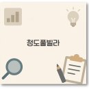 청도바라봄키즈독채풀빌라 | 깔끔 청도 풀빌라 독채 수영장 아기랑 애견동반 단체까지 완벽 정보