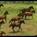 의귀리농촌체험휴양마을 이미지