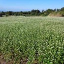 동광단지경로당 이미지