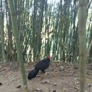 아리아파크 이미지