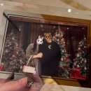 Golden Birthday | 롯데호텔서울 라세느 소공동 뷔페 할인 예약 발렛 평일 런치