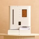 강아지 지니 이미지