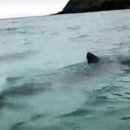 첨단우리병원 이미지