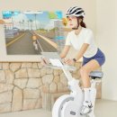 48 싸이클 | 스피닝 실내자전거 EMS ERG 스핀바이크 헬스 사이클 스마트 즈위프트 야핏 게임 추천 (단독 48% 할인중)