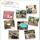 허브팜 이미지