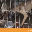 이병천농장 이미지