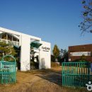 대산미술관 티스토리