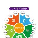 자연가