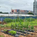 안고랑농장 이미지