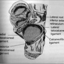 CW-0707-01 이미지