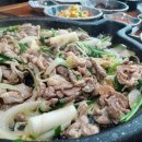 주오리 이미지