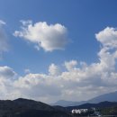세영클린