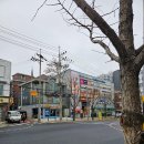 서울신길재활의학과의원 | 입소문 탄 서울 신길재활의학과