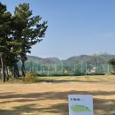 씨스포빌