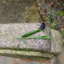 선암서원 주차장 이미지