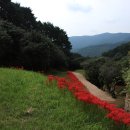 도선국사마을 이미지