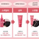 [사용후기] 닥터그루트 지루성 두피용 클리니컬 릴리프 샴푸