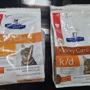 벨라동물병원 이미지