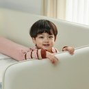 스테디컴 이미지