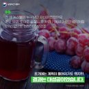 정아농장 네이버블로그