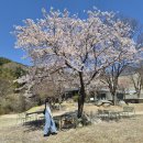 휴양림길 | 대구 현풍 비슬산 대형 브런치 카페 방문 후기 <슬로우 스톤>