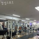 경성스포츠 이미지