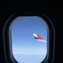 oz | 인천 상하이 아시아나 OZ367 탑승 후기 기내식 메뉴