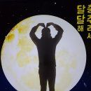 중앙탑길 Daum카페