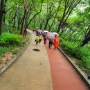 우장산둘레길 이미지