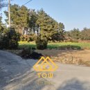 표선리-3 이미지