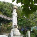 선린사 Daum카페