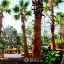 스마트농장 이미지