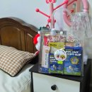 통일로 799번길 | 강아지 생일축하스티커 디자인키위 소량제작 생일 구디백 활용후기