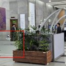 세종청사 11동_1 이미지