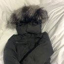 노비스대전신세계 네이버블로그