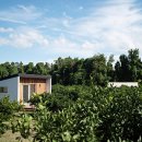 조천농장 이미지