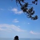 할리스(동해묵호점) 이미지