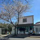 서호동-22 이미지